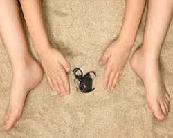 Chicago Lock And Locksmith Chicago, IL 312-470-2228 Chicago Lock And Locksmith Chicago, IL 312-470-2228